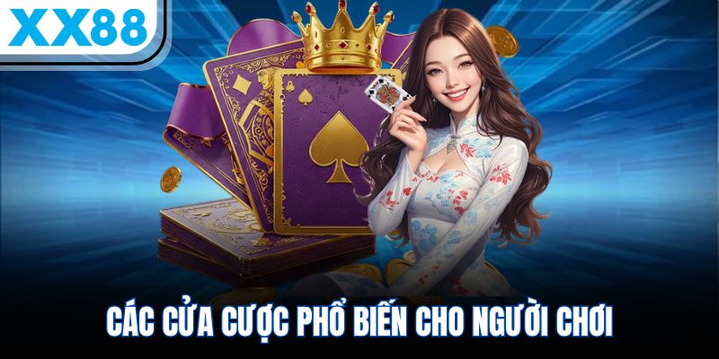 Chiến Thuật Andar Bahar Bất Bại Cho Tất Cả Người Chơi XX88 2 Các cửa cược phổ biến cho người chơi