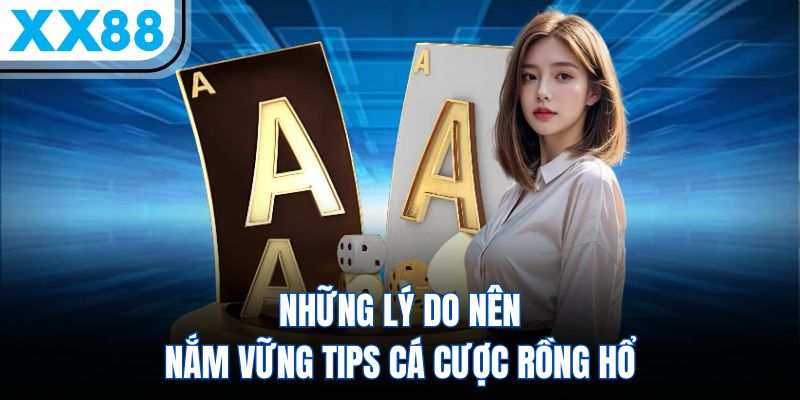 Mẹo Chơi Rồng Hổ Giúp Hội Viên Tăng 80% Cơ Hội Chiến Thắng 3 Những lý do nên nắm vững tips cá cược Rồng Hổ